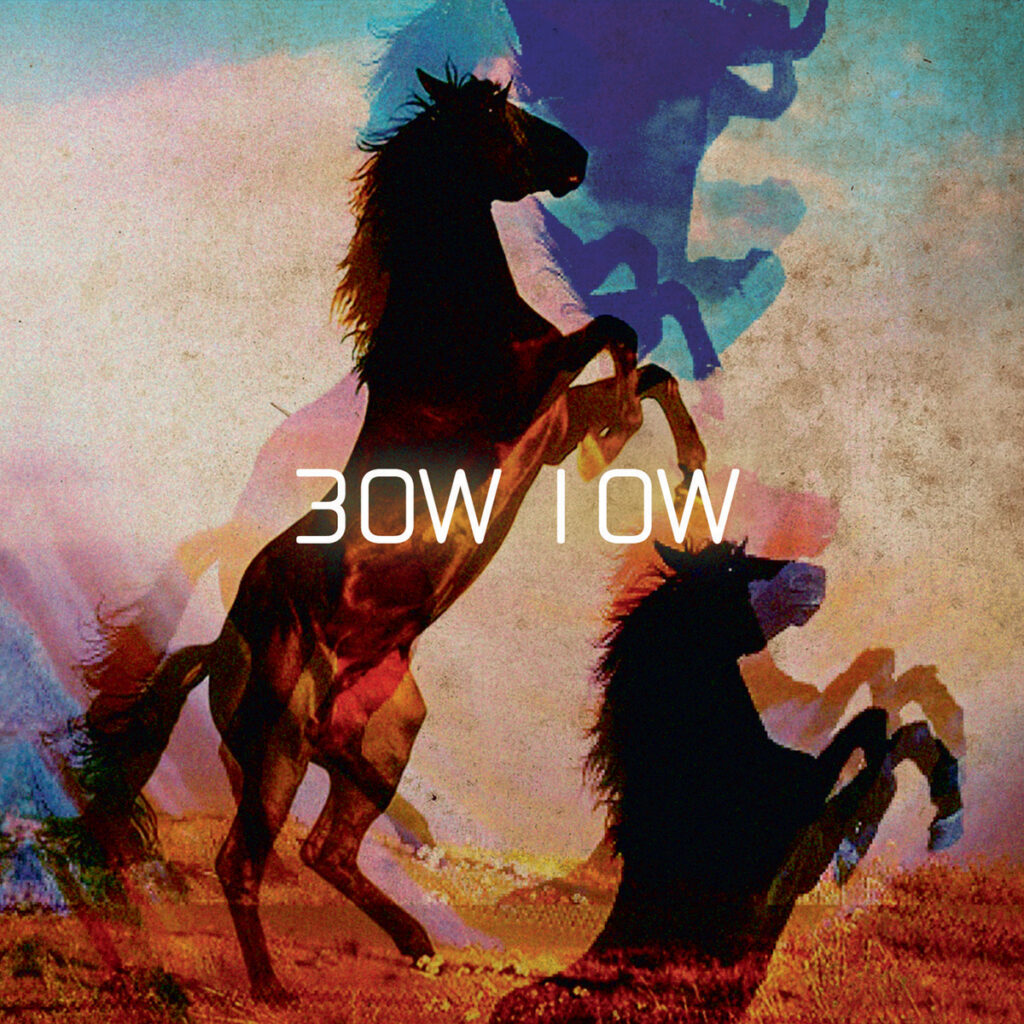 BOW LOW - 30W 10W (2012)