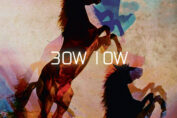 BOW LOW - 30W 10W (2012)