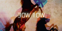 BOW LOW - 30W 10W (2012)